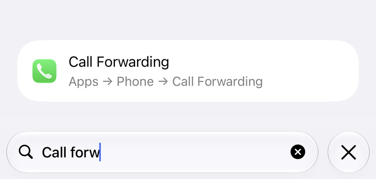 iPhone Settings search showing the Call Forwarding result under Apps, Phone